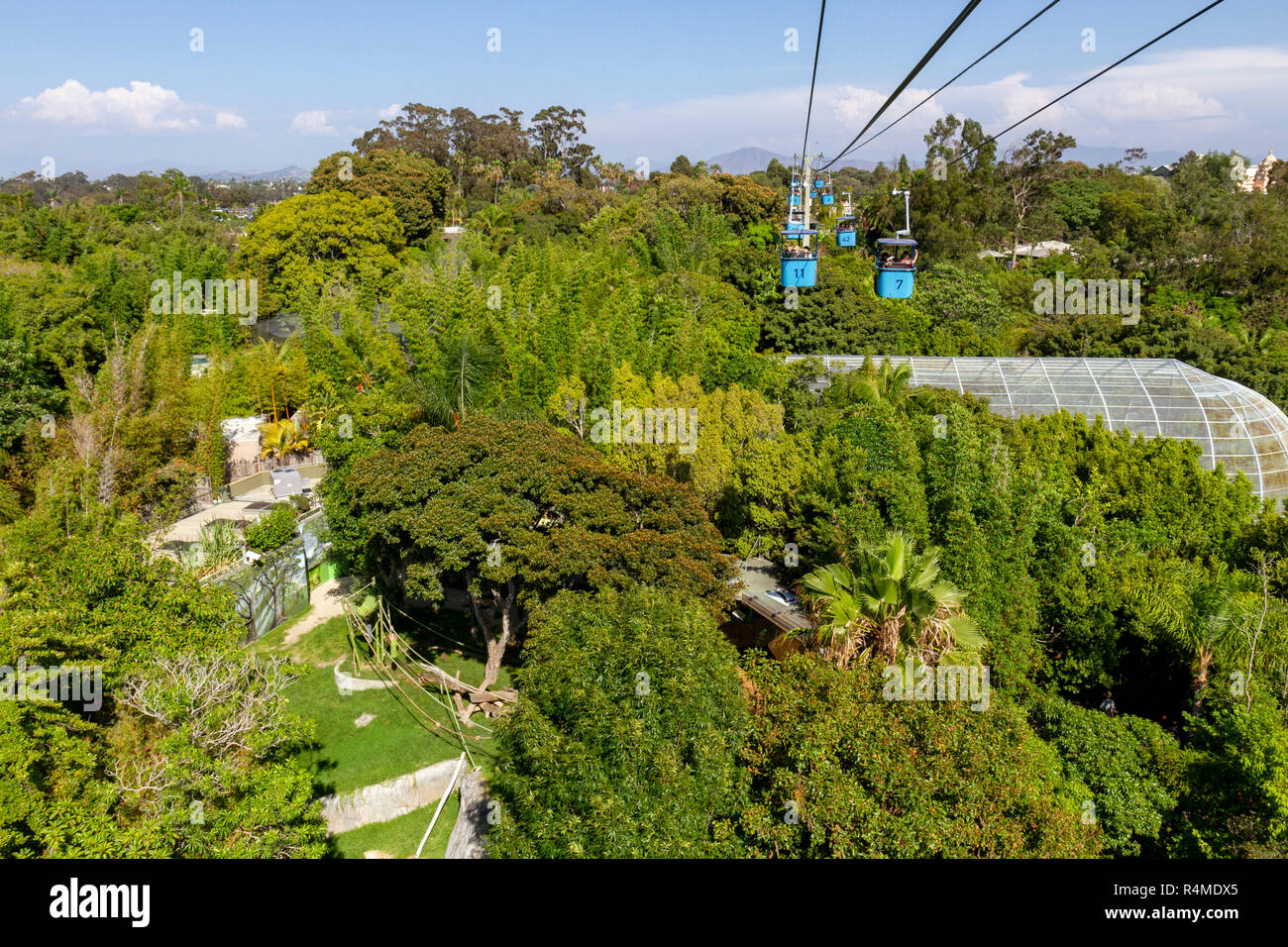 Il Skyfari aerial tram/funivia, lo Zoo di San Diego, il Balboa Park, California, Stati Uniti. Foto Stock