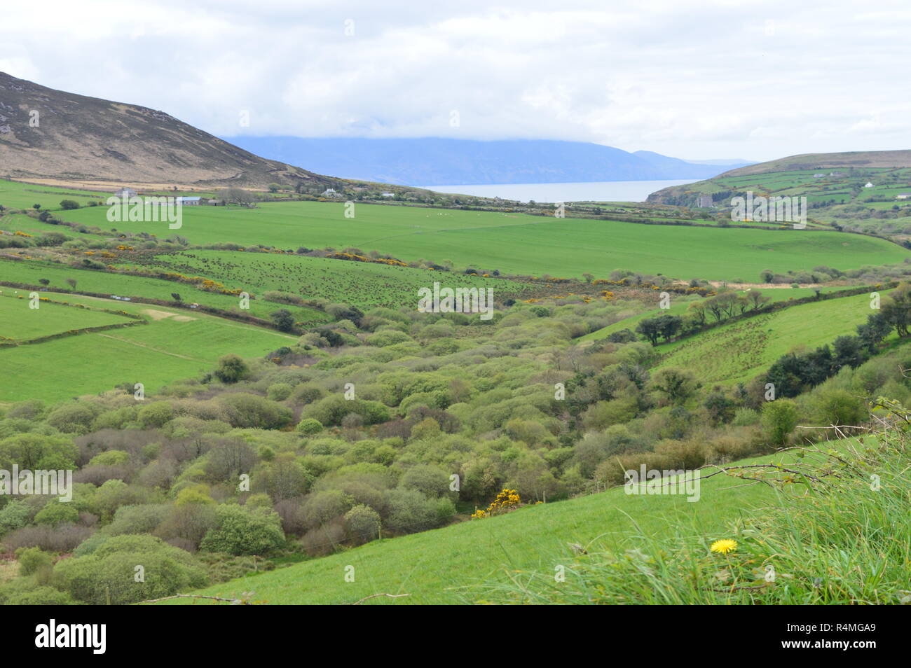 Irlandese tipico paesaggio verde con campi, erba e colline Foto Stock