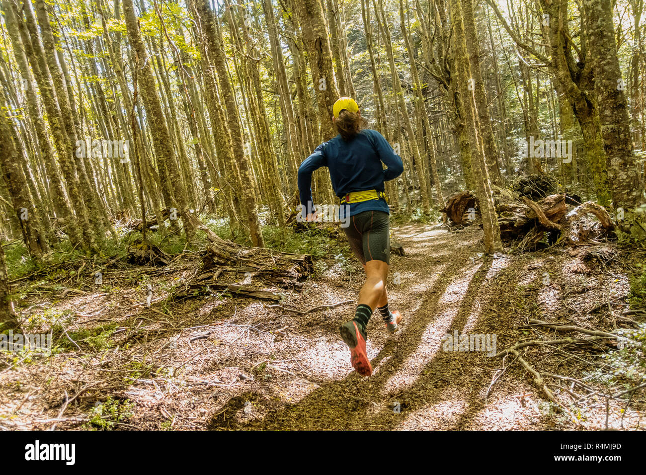 Atleta che corre su un sentiero attraverso Coyhaique riserva nazionale in Aysen Patagonia cilena. Foto Stock
