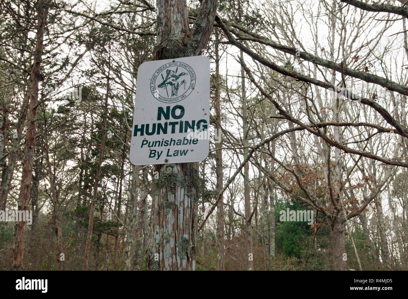 Niente caccia punibile dalla legge segno sulla struttura ad albero Stagno di sale zone santuari di uccelli in Falmouth, Cape Cod, Massachusetts, STATI UNITI D'AMERICA Foto Stock
