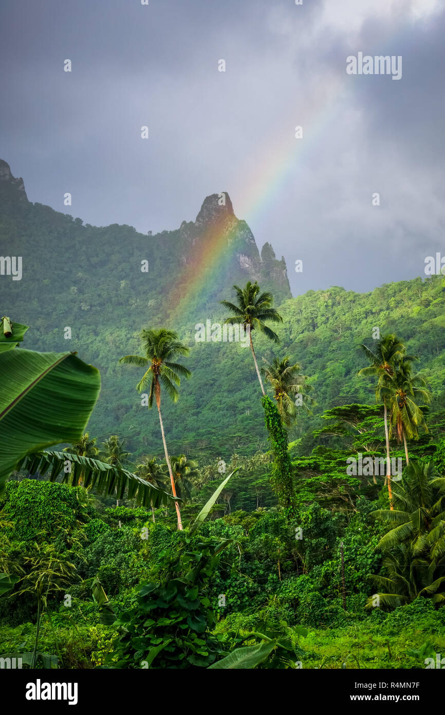Rainbow sull'Isola di Moorea giungla e montagne paesaggio Foto Stock