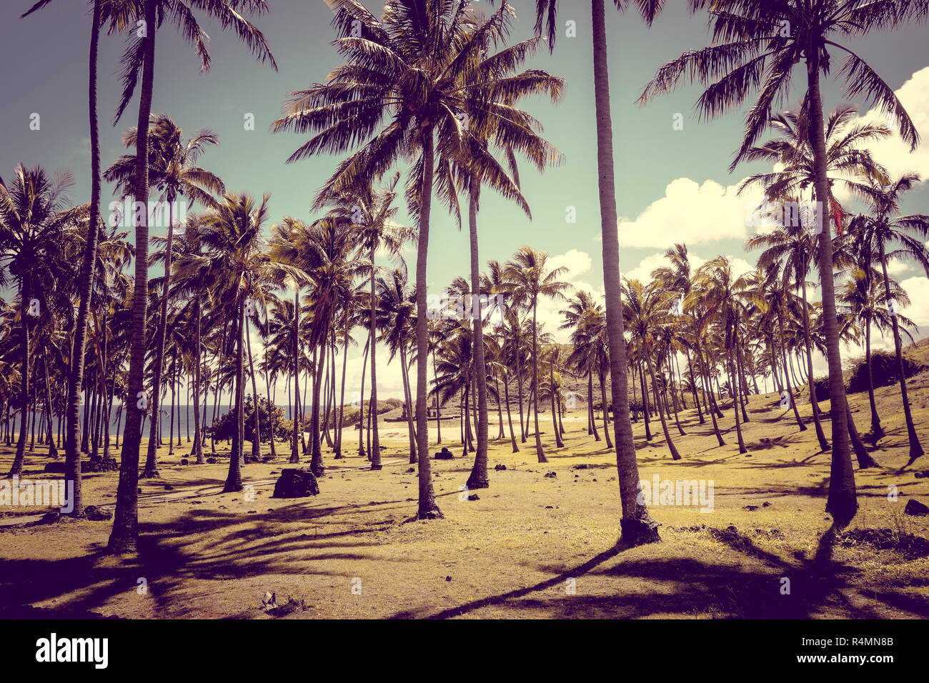 Anakena Palm Beach e Moais statue sito ahu Nao Nao, isola di pasqua Foto Stock
