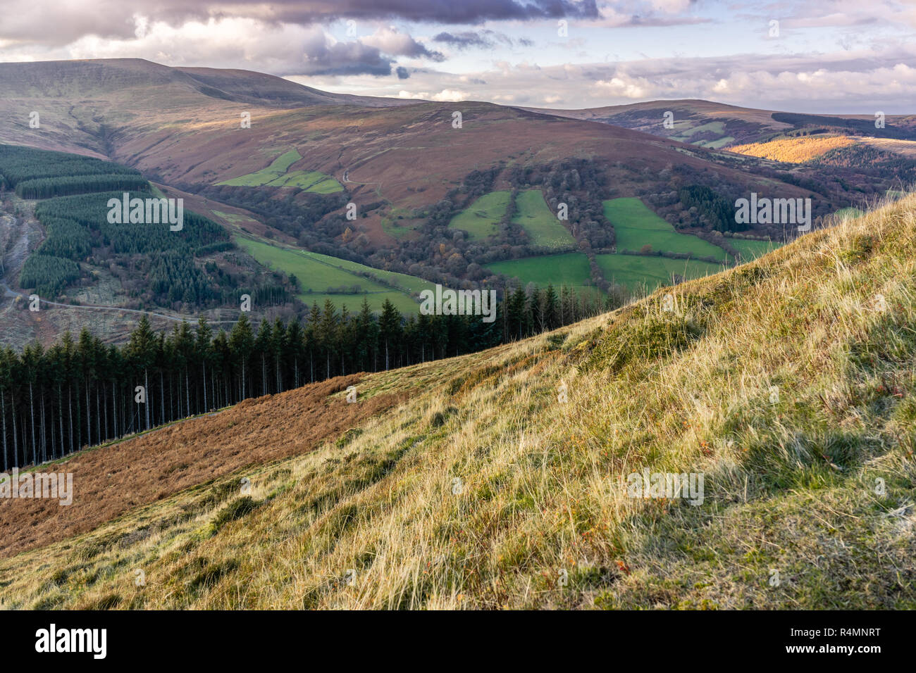 Vista da Tor-y-foel montagna nel Parco Nazionale di Brecon Beacons, Powys, Wales, Regno Unito Foto Stock