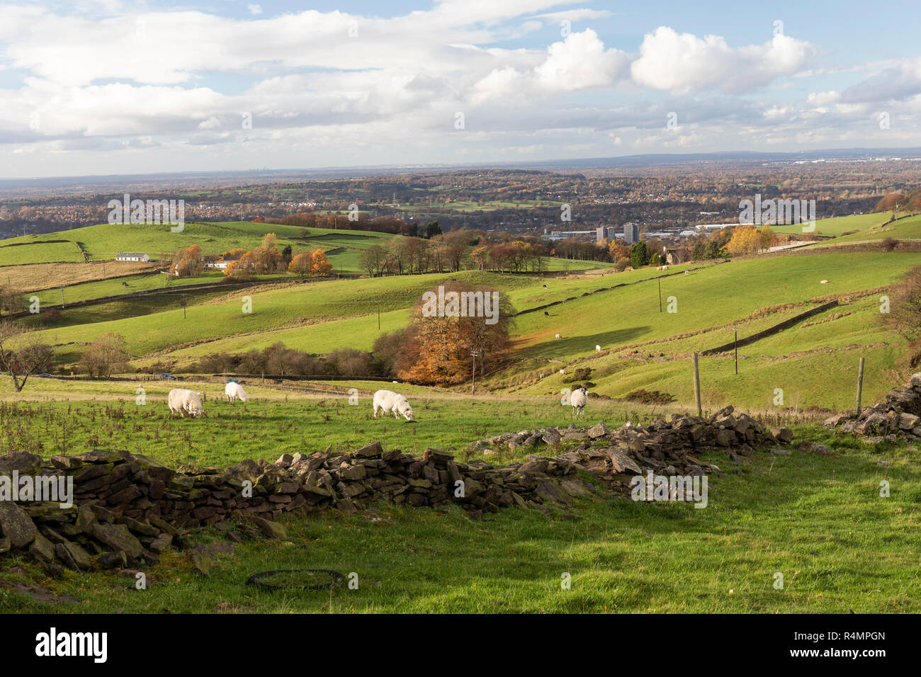 Vista meravigliosa dal Tegg's Nose Country Park, Macclesfield, Cheshire, Inghilterra, Regno Unito Foto Stock