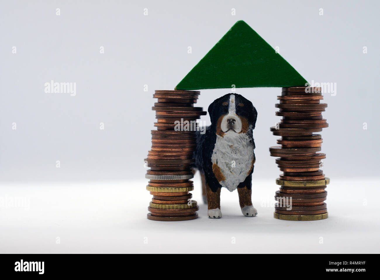 Un cane in casa propria basata sulla pila di monete Foto Stock