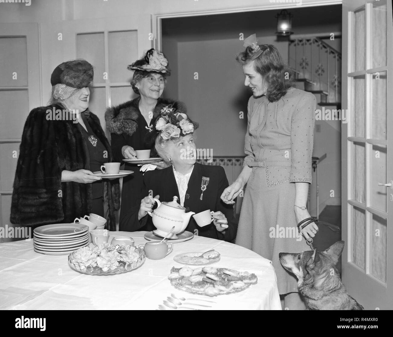 Una giovane donna con il suo tedesco Shepard unisce un tea party nella California del Sud, ca. 1947. Foto Stock
