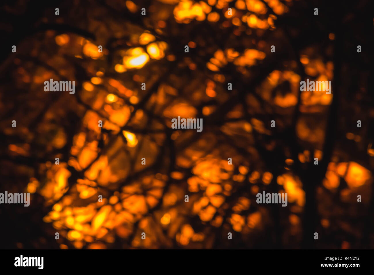Abstract fuori fuoco fiamme e scintille provenienti da una notte dei falò incendio in East Devon, Sud Ovest dell'Inghilterra, Regno Unito. Foto Stock