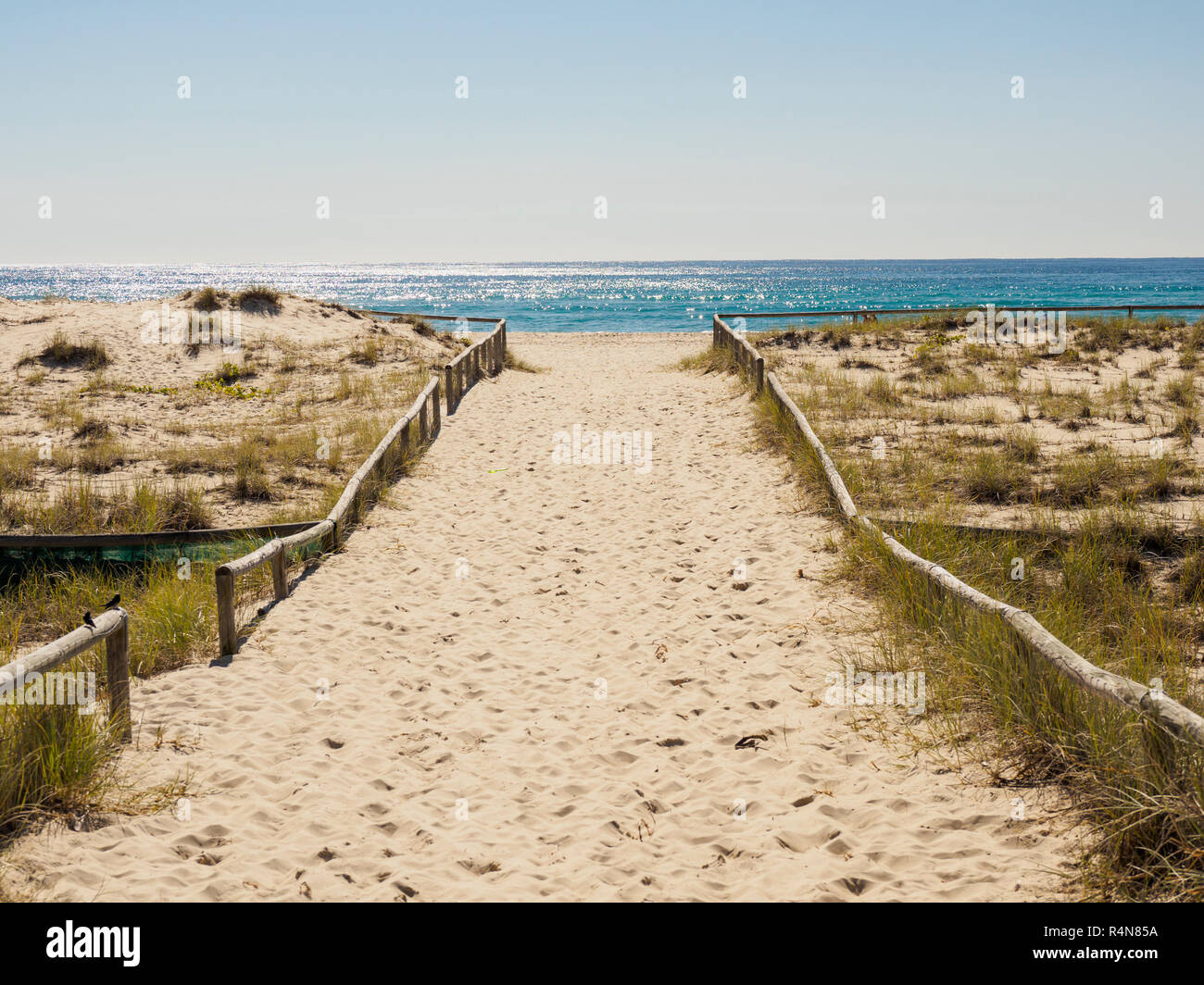 Passeggiata sulla Spiaggia in Coolangata, Australia Foto Stock