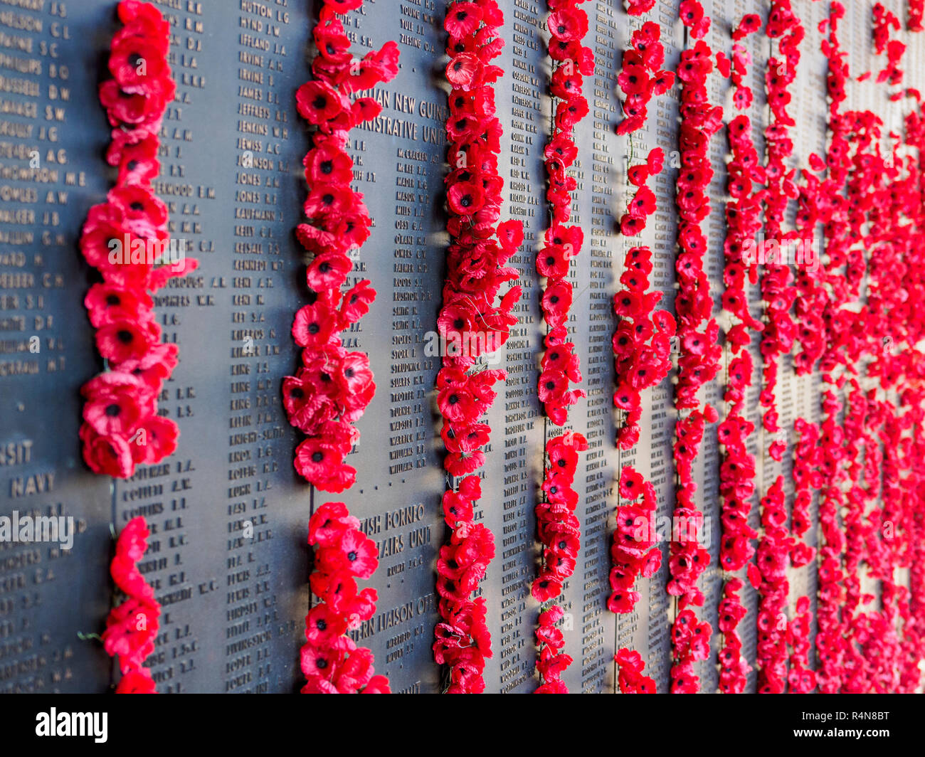Monumento ai caduti in guerra con il papavero Foto Stock