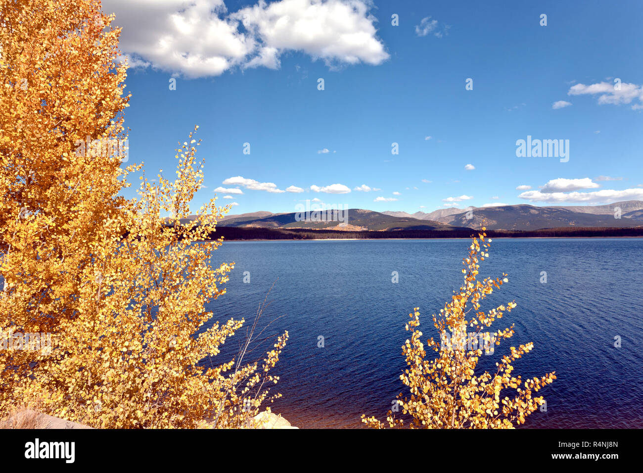Vista panoramica del lago turchese e gli alberi in autunno, Denver, la contea del lago, Colorado, STATI UNITI D'AMERICA Foto Stock