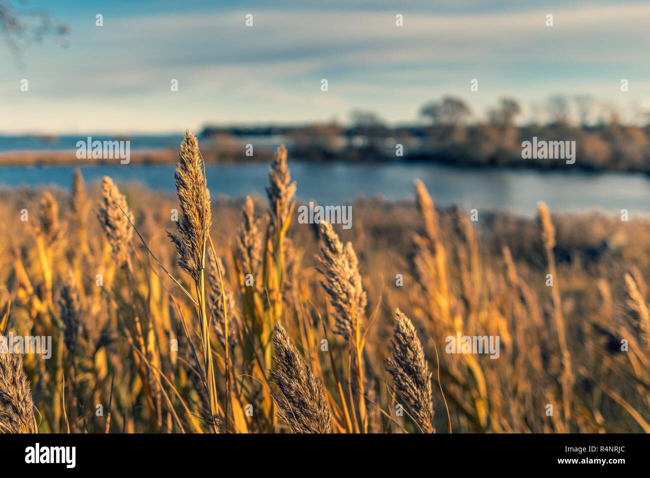 Tramonto sul fiume Foto Stock