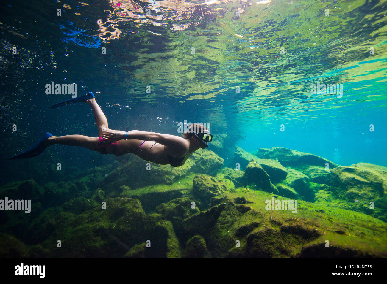 Vista SideÂ colpo di donna in bikini snorkeling,Â CenoteÂ el Eden Riviera Maya,Â PlayaÂ delÂ Carmen,Â QuintanaÂ Roo,Â Messico Foto Stock