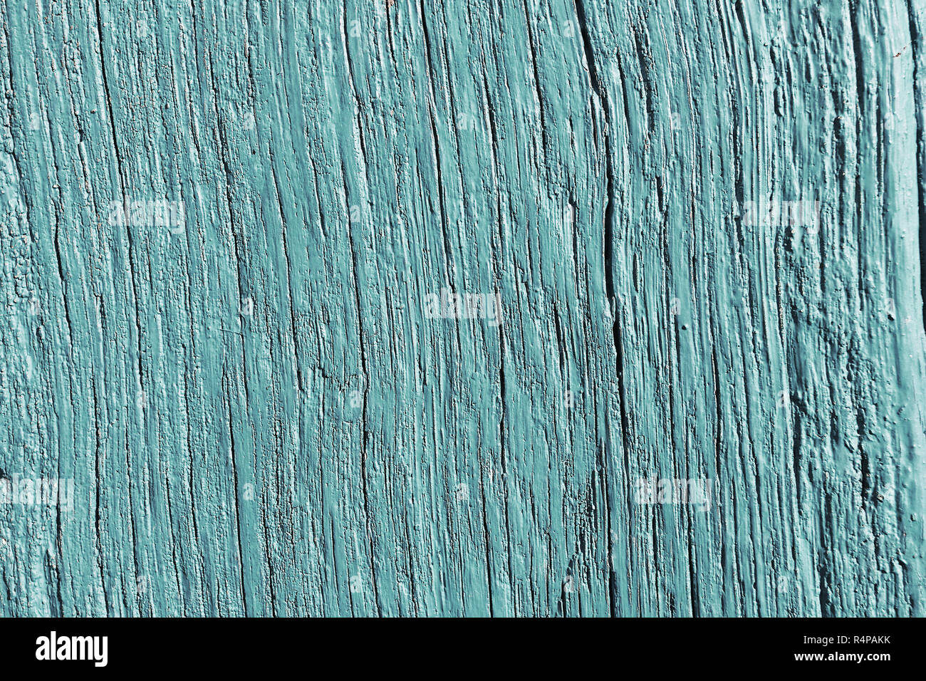Texture dettagliate di abete rosso asse di legno dipinte di blu Foto Stock