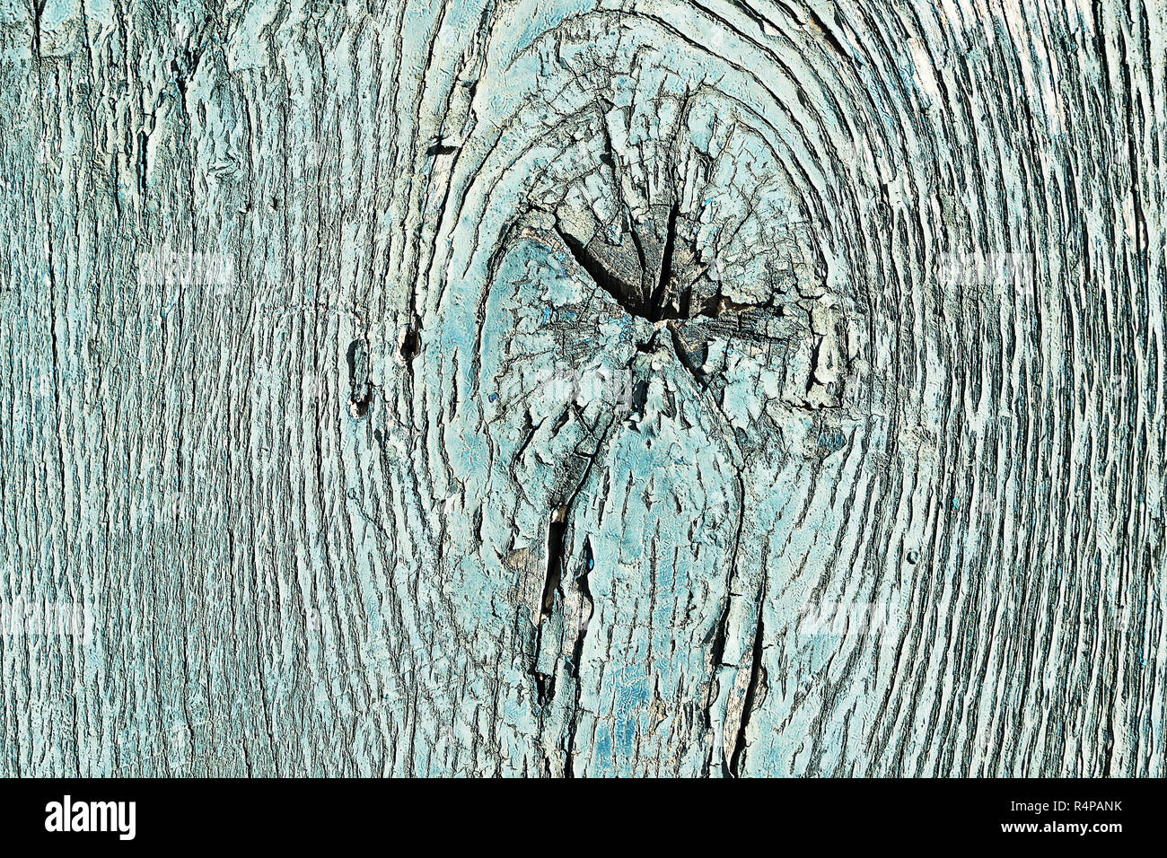 Dettaglio di legno di abete rosso texture con nodo. vecchio weathered plancia verniciata Foto Stock