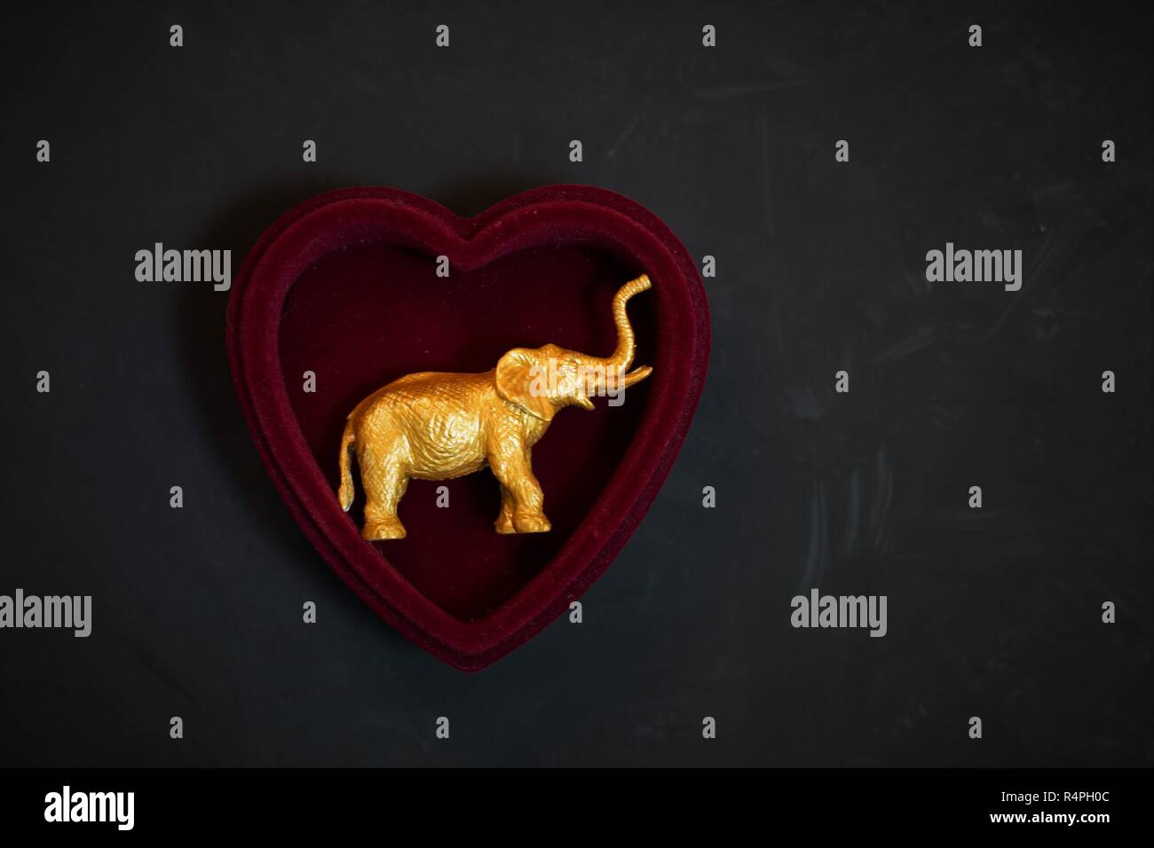 Un oro statuetta elefante dentro un cuore-scatola sagomata. Foto Stock