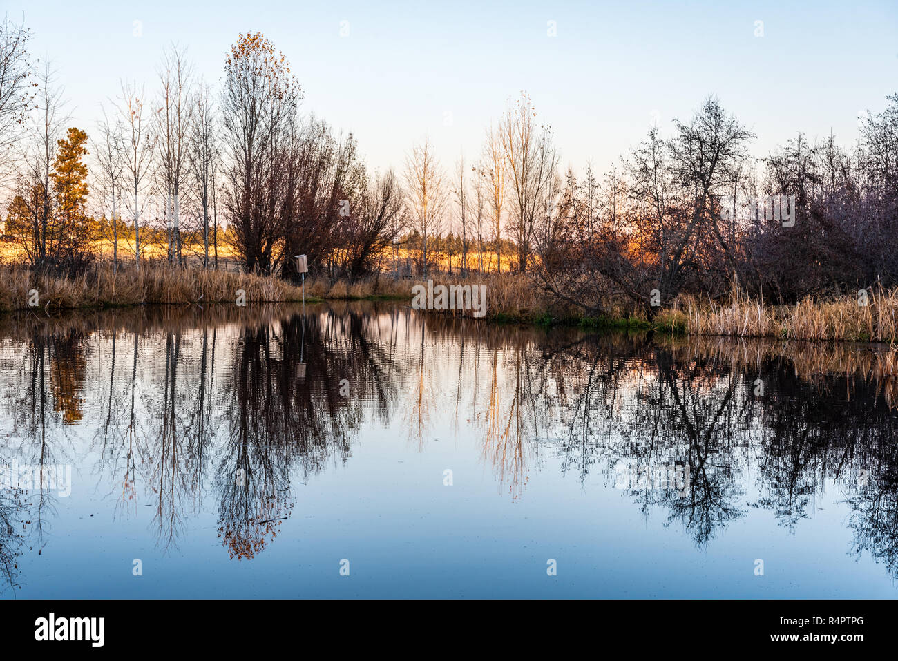 Serata a Turnbull National Wildlife Refuge Foto Stock