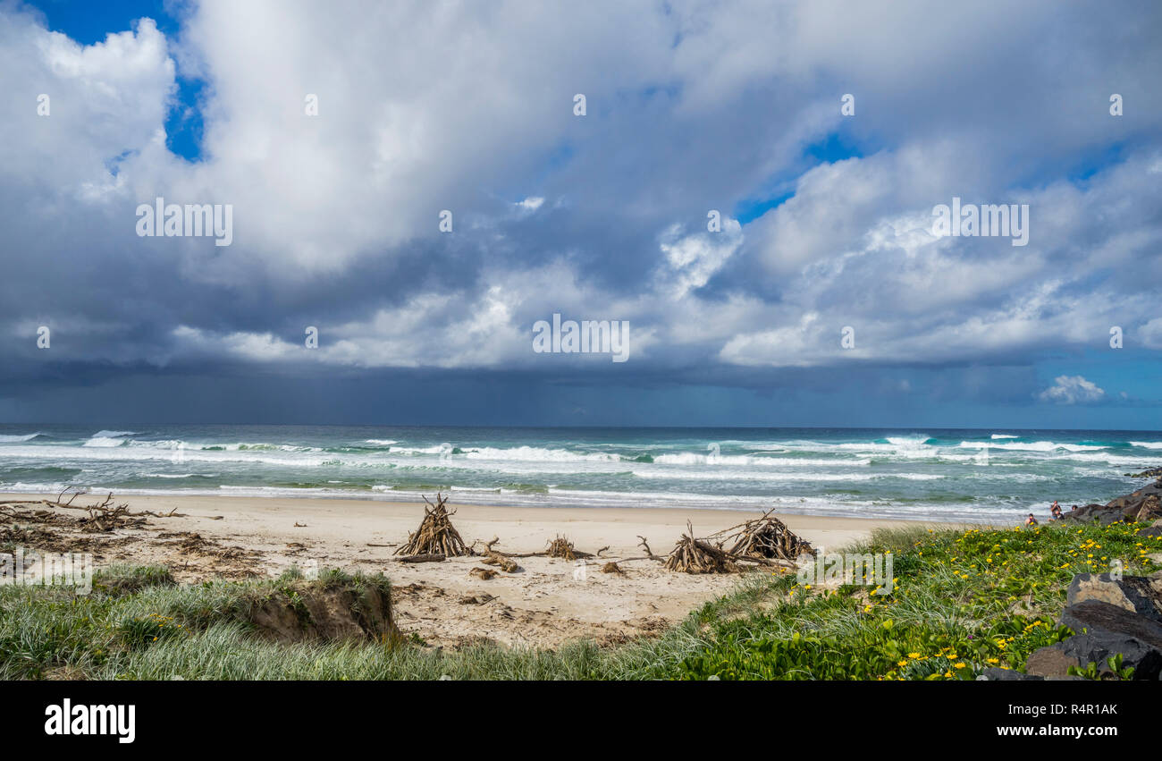Driftwood sulla spiaggia del Faro contro la tempesta nuvole sopra l'oceano, Est Ballina, nel nord della regione dei fiumi, Nuovo Galles del Sud, Australia Foto Stock
