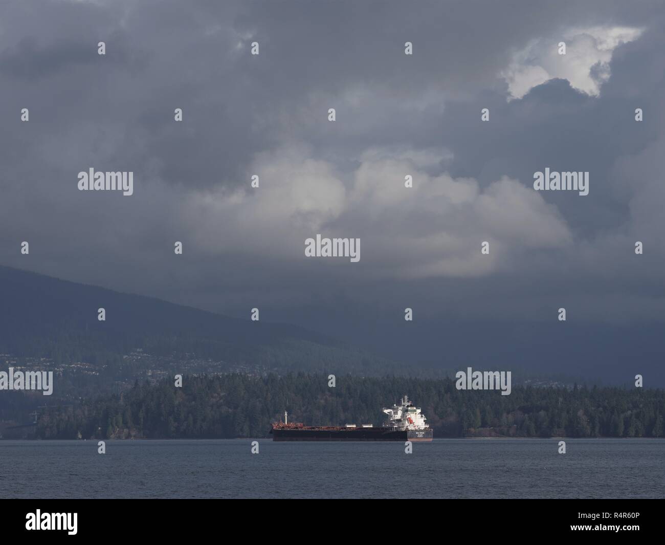 Cargo, il porto di Vancouver, Vancouver, British Columbia, Canada, Brian Martin RMSS, file di grandi dimensioni Foto Stock