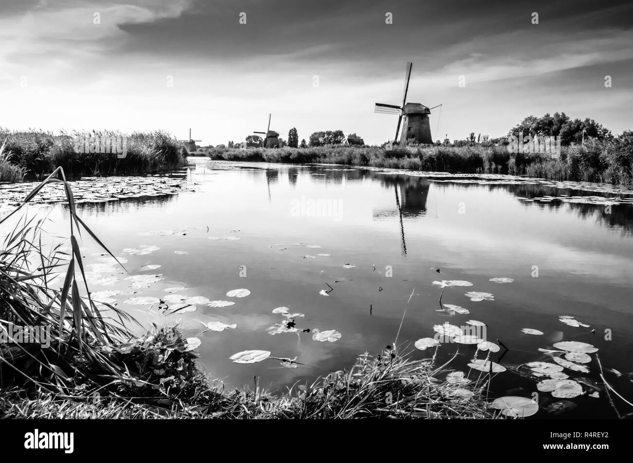 Bianco e nero paesaggio Olandese Foto Stock