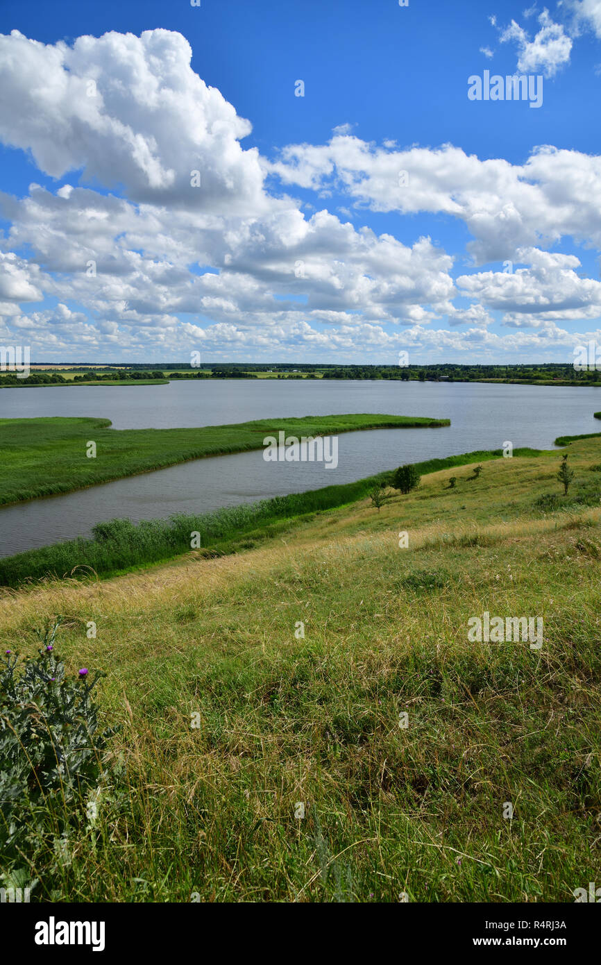 Bella estate paesaggio rurale con un lago Foto Stock