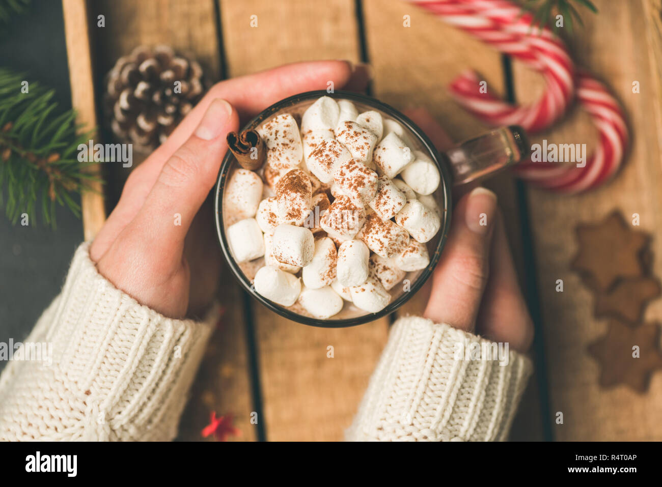 Tazza di cioccolata calda con marshmallows in girl mani. Azienda femmina calda accogliente comfort drink. Vista superiore, tonica immagine Foto Stock