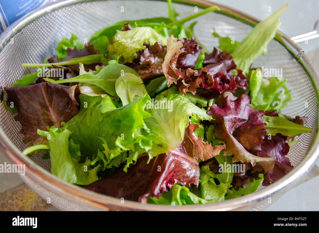 Un misto di foglie di insalata in una cullender come parte della preparazione di un pasto. Foto Stock