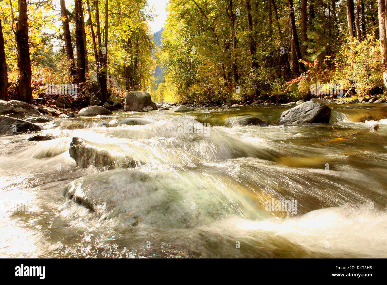 Un autunno ruscello di montagna vicino a Leavenworth nello stato di Washington Foto Stock