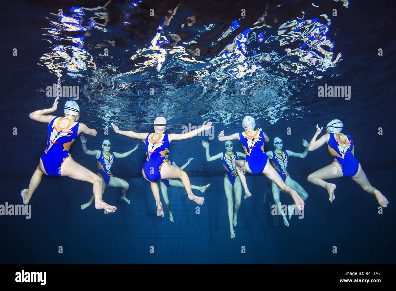 Nuoto sincronizzato in una piscina, Ucraina Foto Stock
