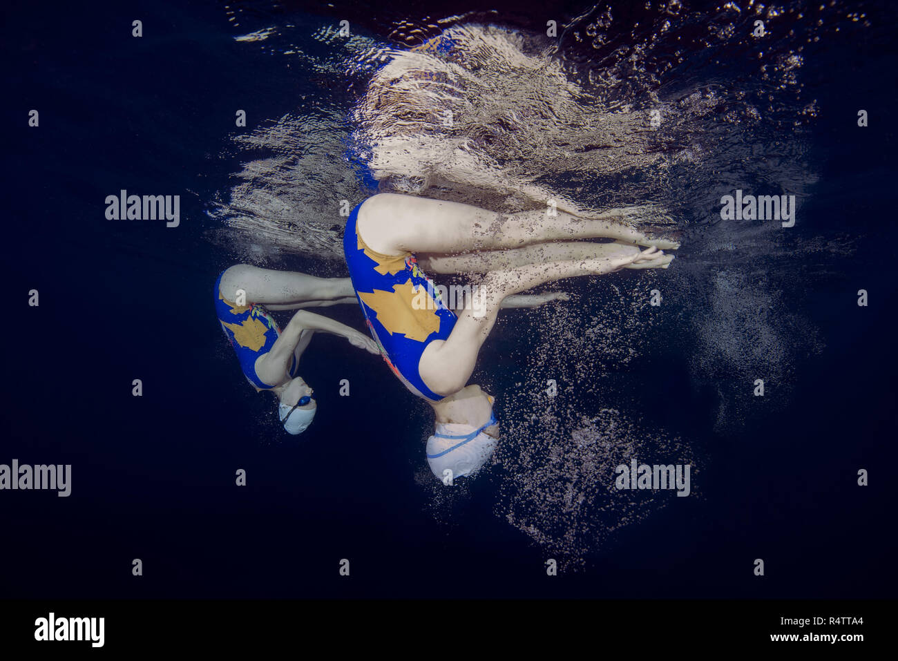 Vista subacquea del nuoto sincronizzato in una piscina, Ucraina Foto Stock