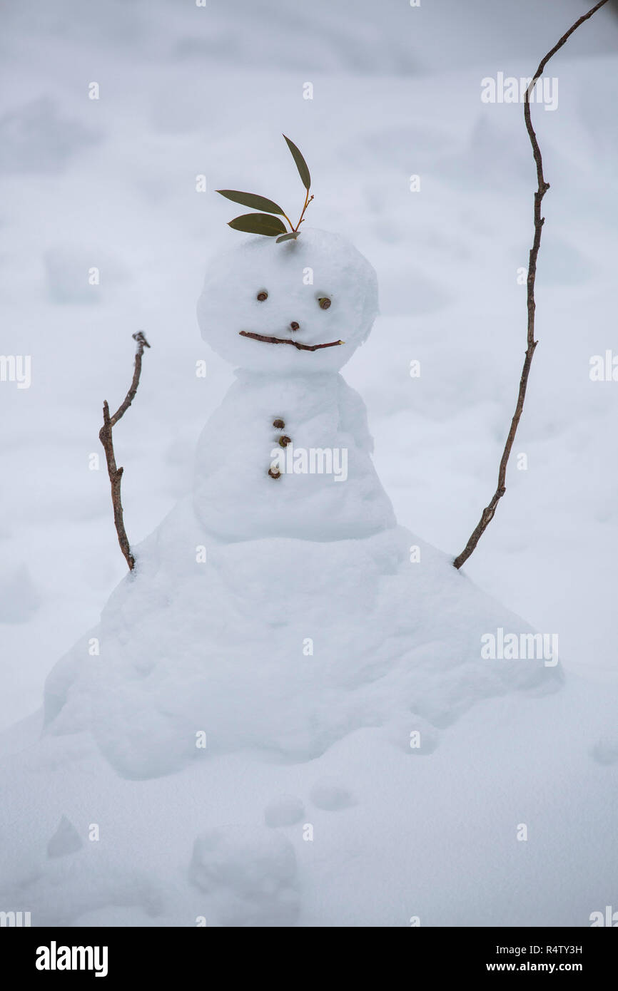 Carino pupazzo di neve Foto Stock