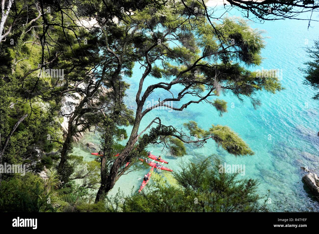 La gente sulla red kayak come visto dal di sopra in acque azzurre,'Isola Sud della Nuova Zelanda, Marlborough Sound Foto Stock
