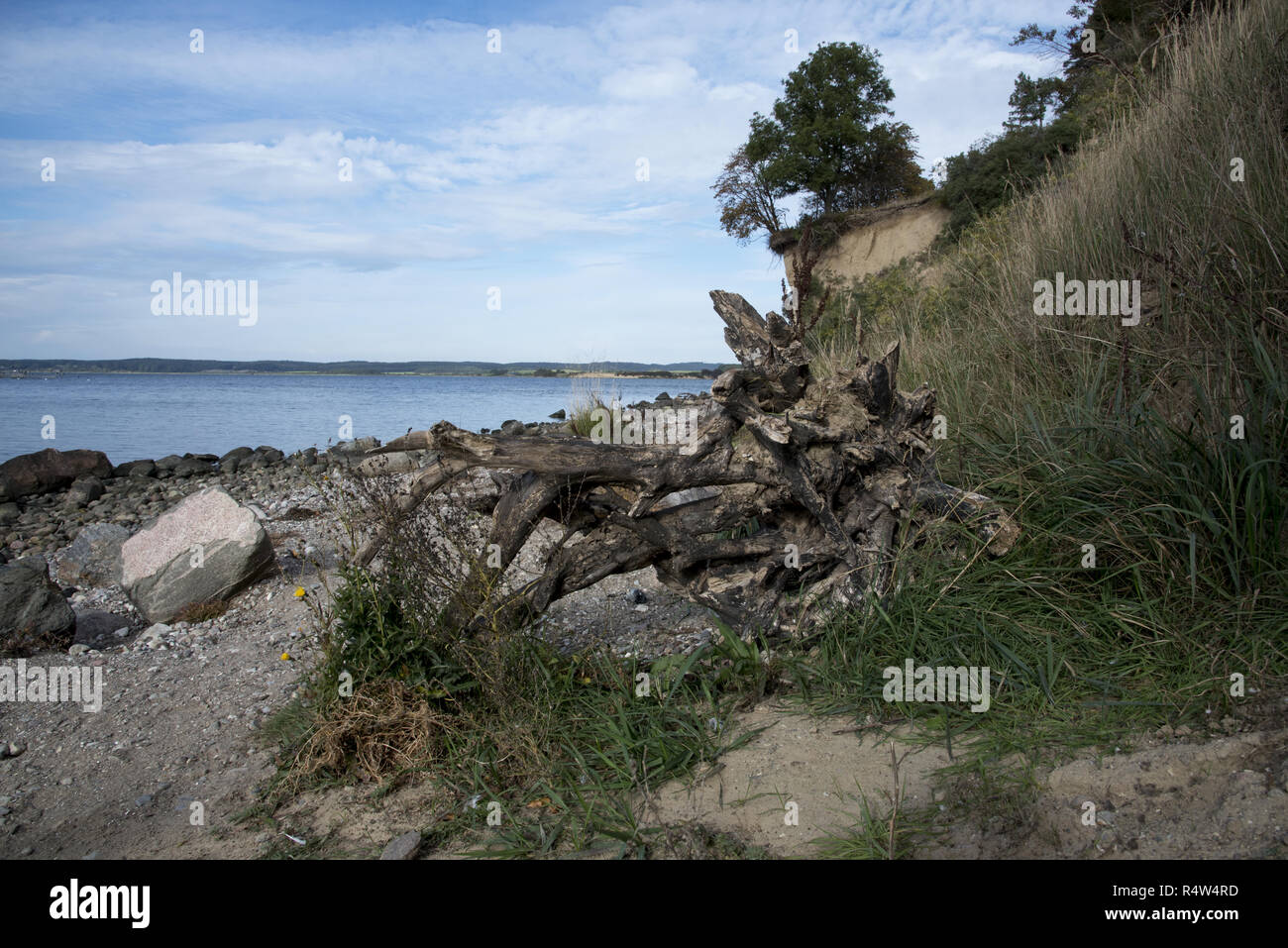 Höft Reddevitzer è a 4 km dalla lunga penisola a sud-est di Ruegen isola terminante con ripide scogliere di sabbia. Foto Stock