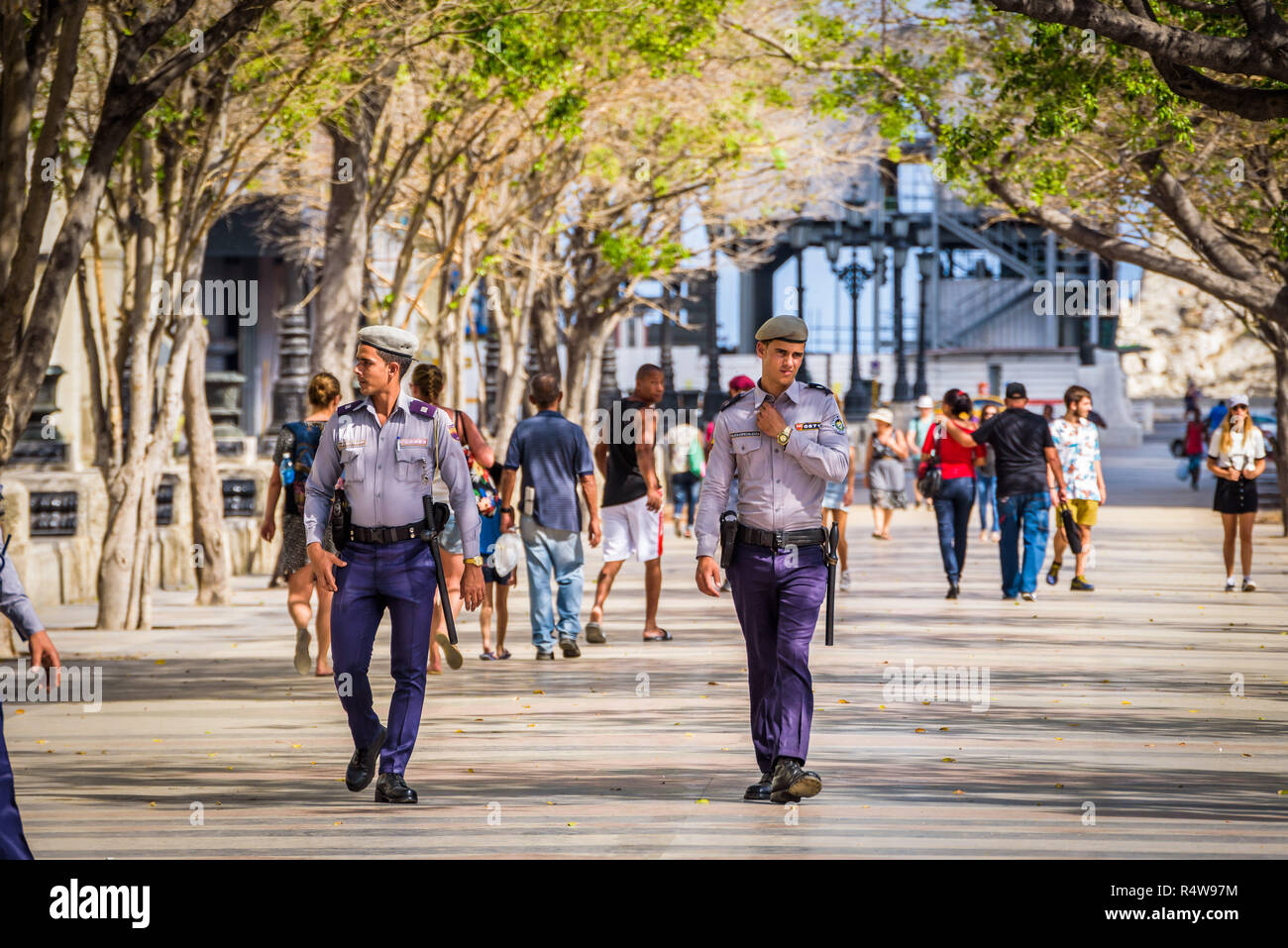 Vecchia Havana, Cuba. Febbraio 2018 - polizia cubana a piedi a Paseo del Prado (Paseo de Marti) Foto Stock