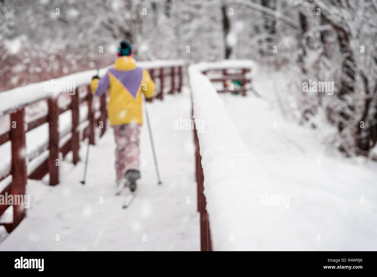 Irriconoscibile sciatore torna a noi, corsa con gli sci in inverno i boschi sulla fredda giornata nevosa, attraversa il ponte di legno. Sport invernale, svago attivo, uno stile di vita sano Foto Stock