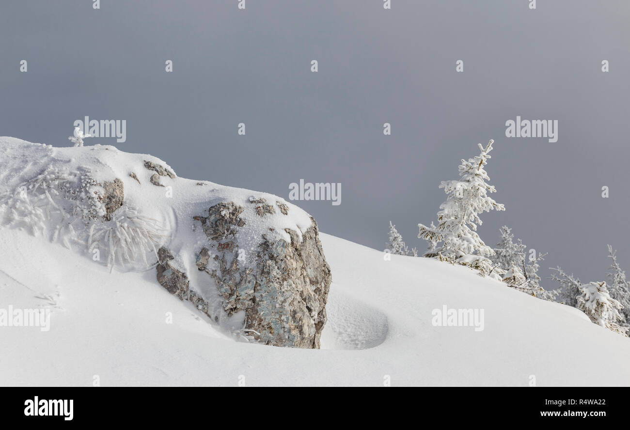 Paesaggio invernale di altipiani alpini nella nebbia. Vista della favola invernale alberi di surgelati e rock dei Carpazi nel nebbioso giorno. La Romania Foto Stock