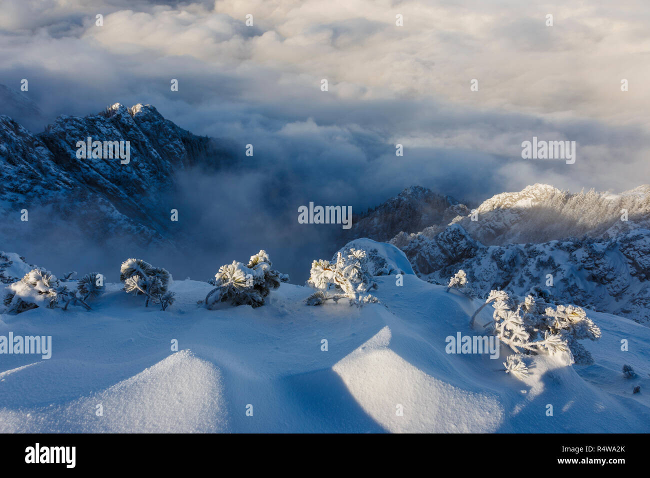 Incredibile paesaggio di montagna selvaggia ridge il sollevamento sopra le nuvole e la nebbia Foto Stock