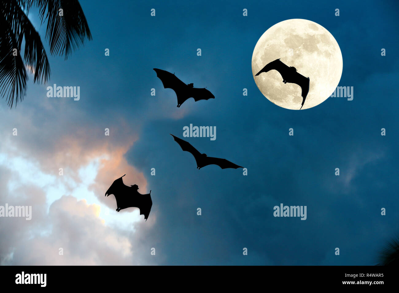 La luna nel cielo Foto Stock