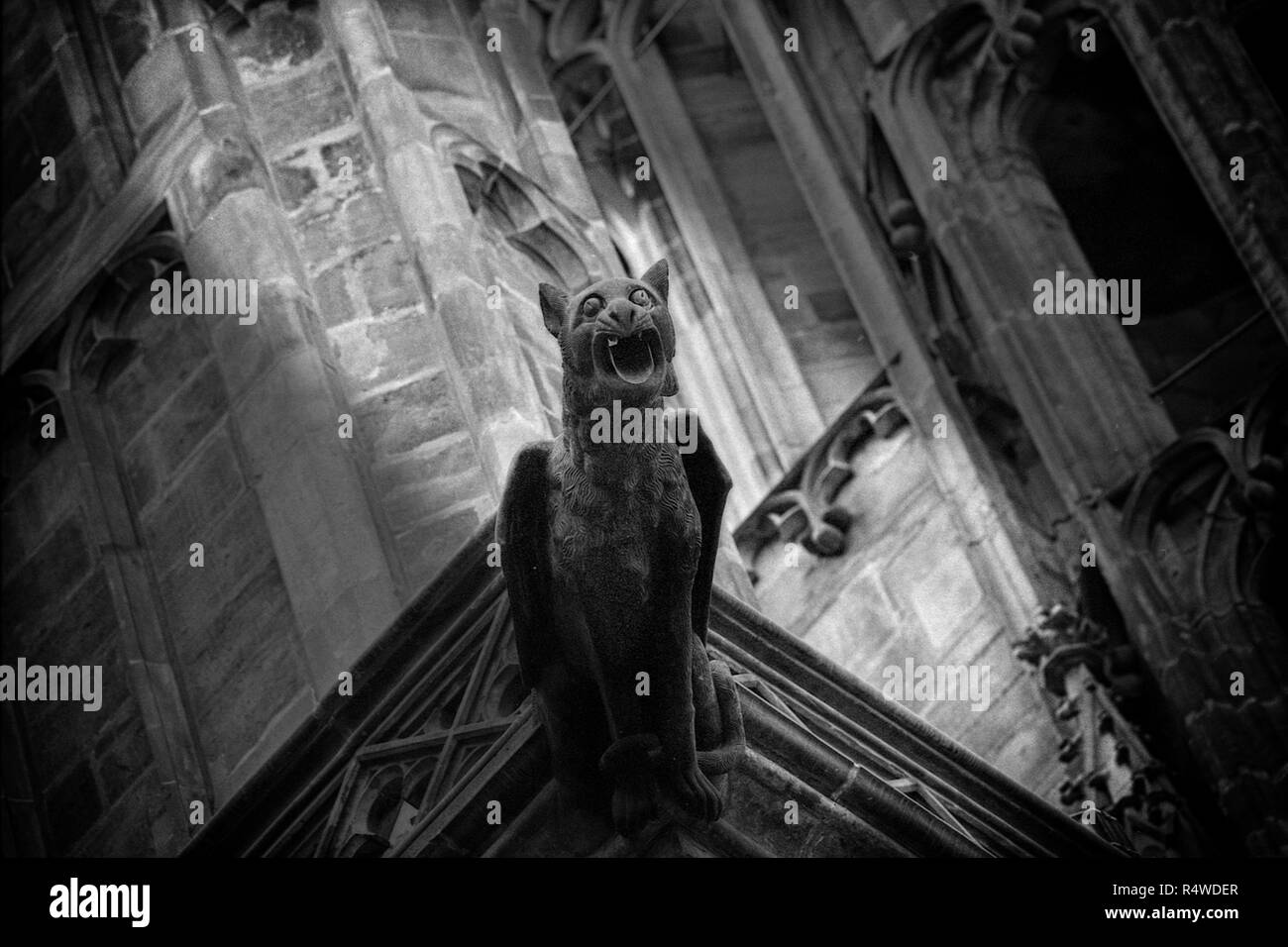 Scary animale immaginario, un grifone, fatti di pietra scolpita e utilizzato come gargoyle installato sulla facciata di una cattedrale gotica a Praga Foto Stock