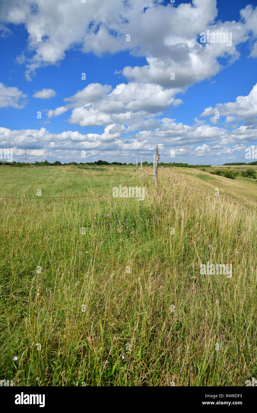 La bella estate paesaggio di campagna nella steppa Foto Stock