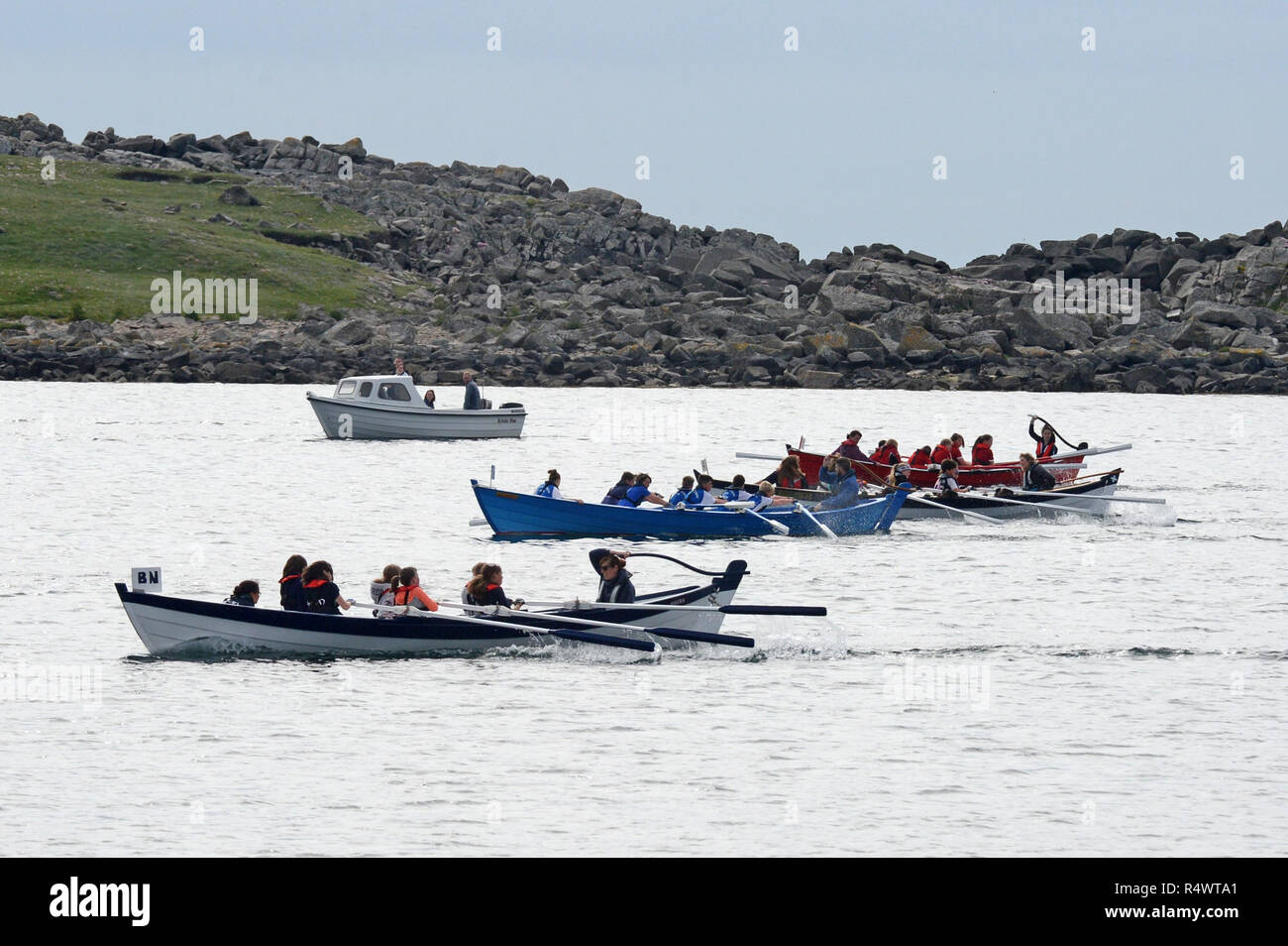 Shetland regata di canottaggio che si terrà in Hamnavoe Burra nelle isole Shetland durante l'estate. Le squadre locali gara per ciascun distretto Foto Stock