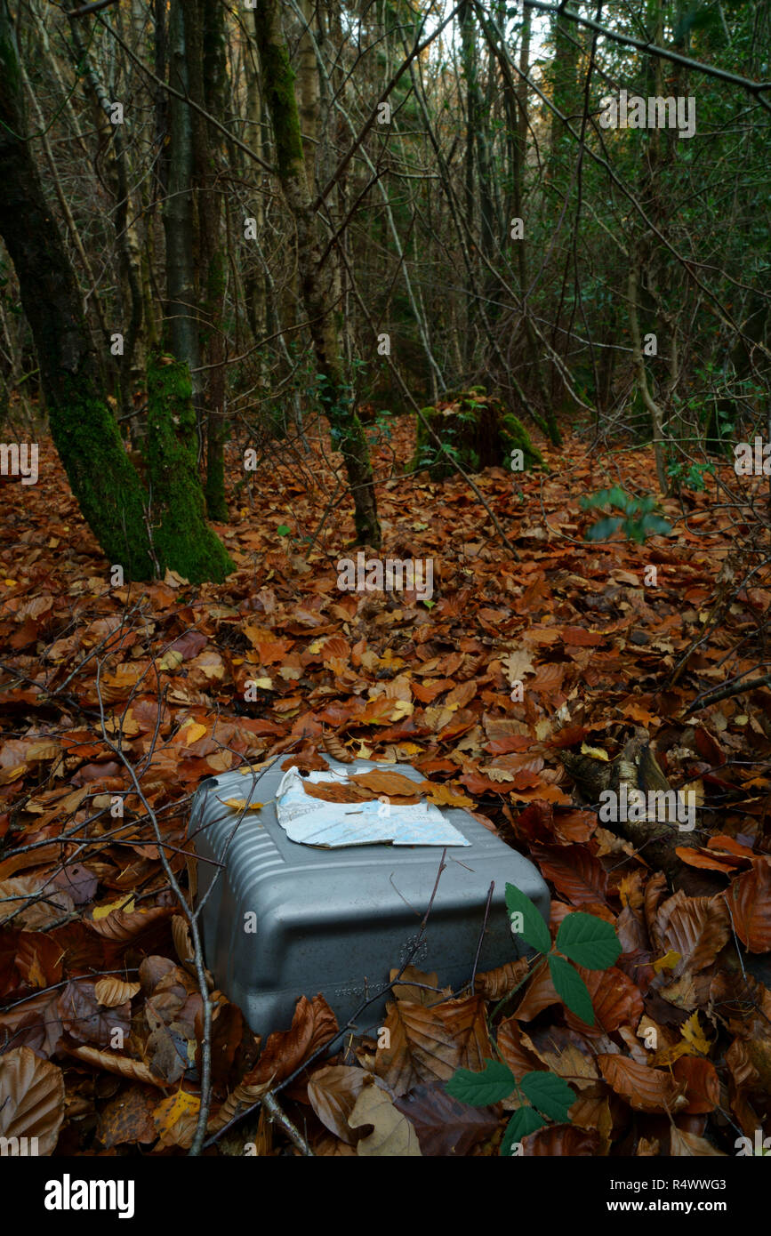 Ashdown Forest SUSSEX REGNO UNITO una plastica possono essere gettati in un ambiente boschivo Foto Stock