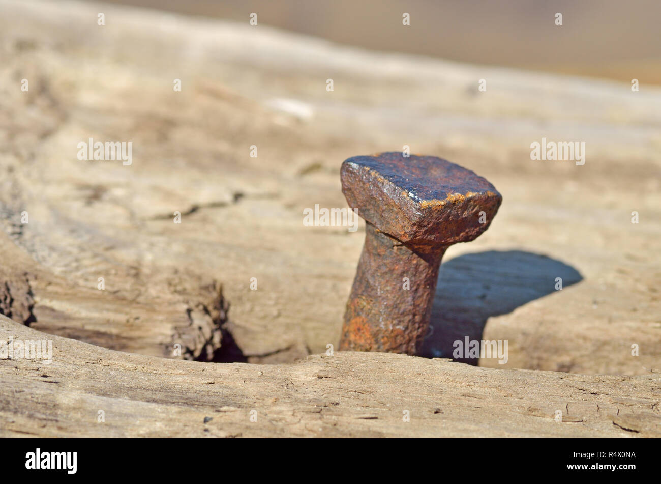 In un registro il chiodo è martellato.Tutto è arrugginita dal vecchio giorni. Foto Stock