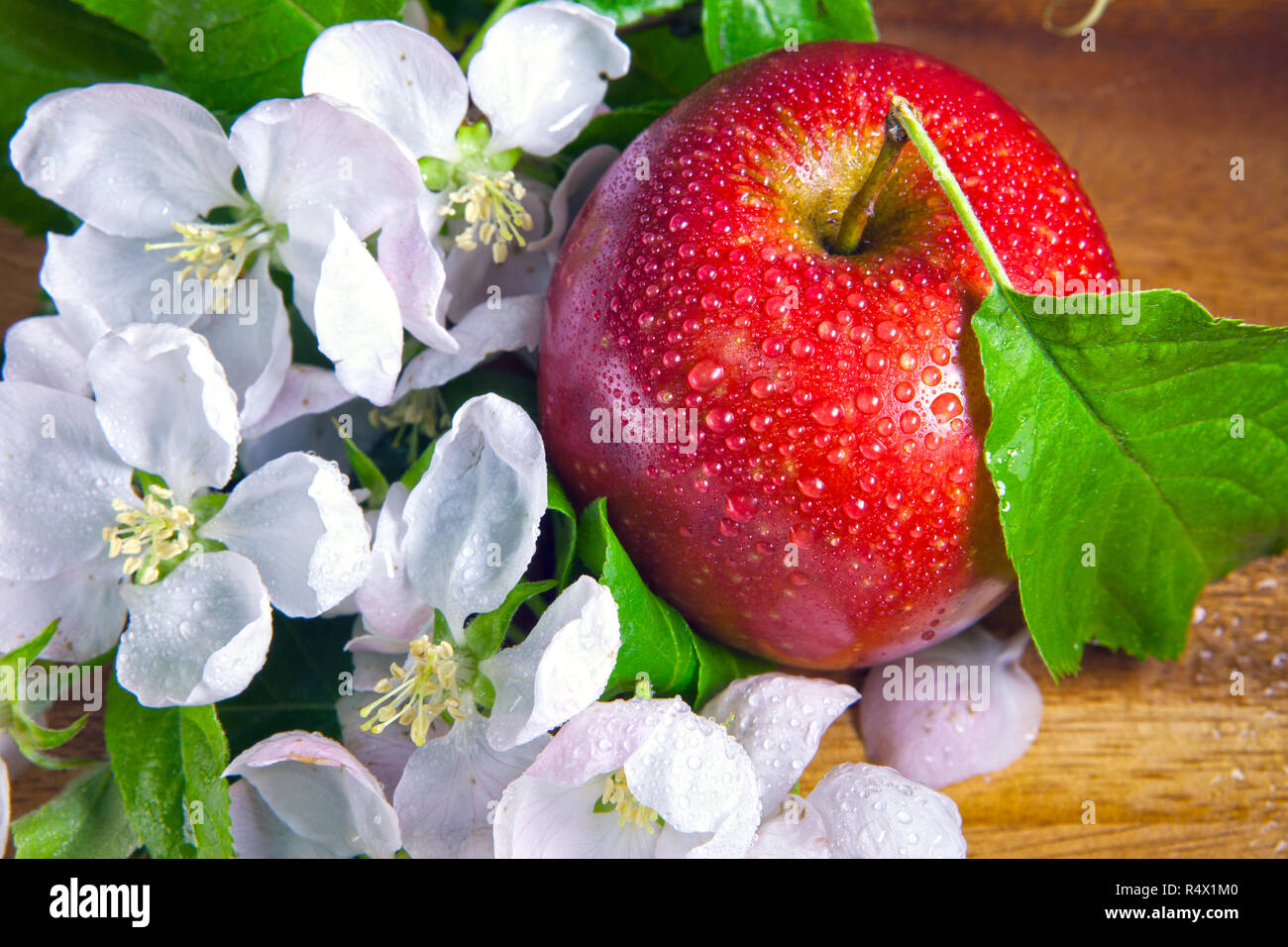 Rosso mela matura e bianco melo fiori su sfondo di legno Foto Stock