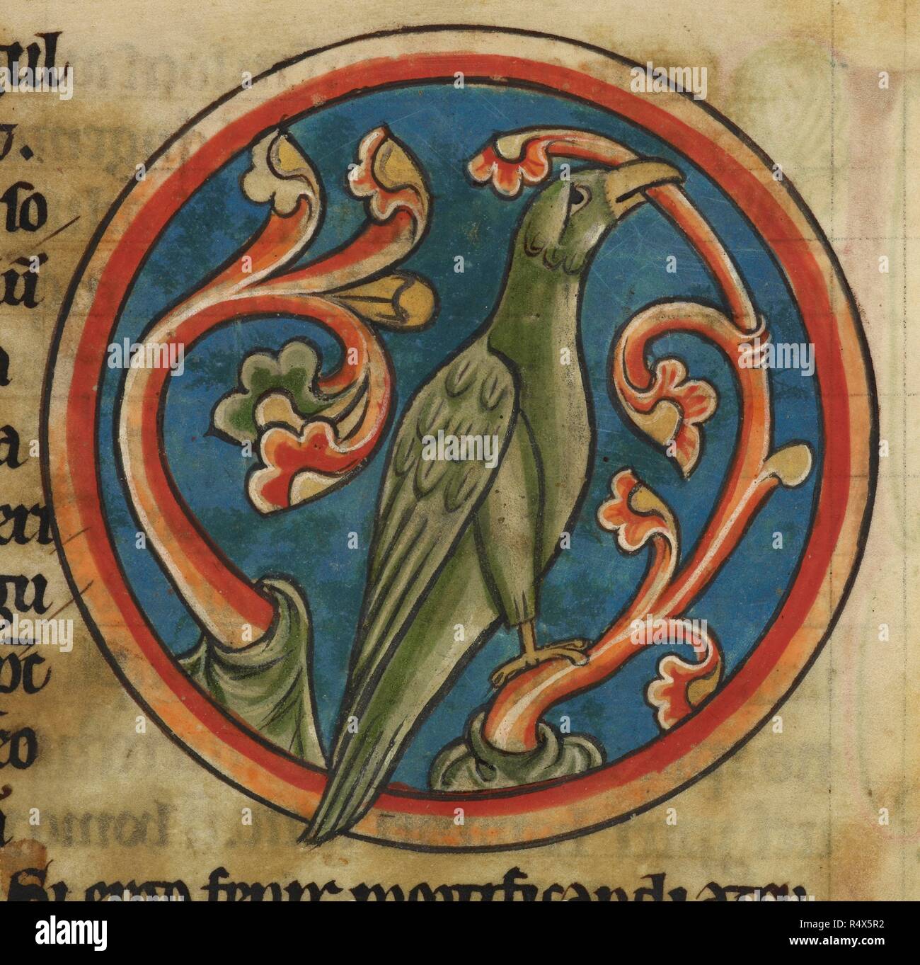 A Phoenix. Bestiaria. Inghilterra (Salisbury?); 1230-1240. [Top miniatura) a Phoenix. Immagine presa da bestiario. Originariamente pubblicato/prodotto in Inghilterra (Salisbury?); 1230-1240. . Fonte: Harley 4751, f.45. Lingue: Latina. Foto Stock