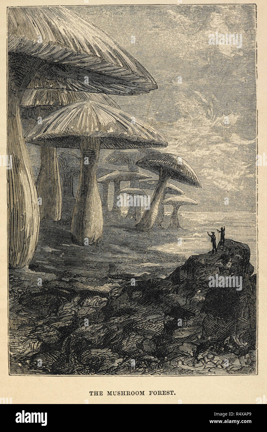La foresta di funghi una illustrazione da "un viaggio al centro della Terra', fantascienza. Bianco e nero illustrazione. Autore Jules Verne,. Museo: British Library. Foto Stock