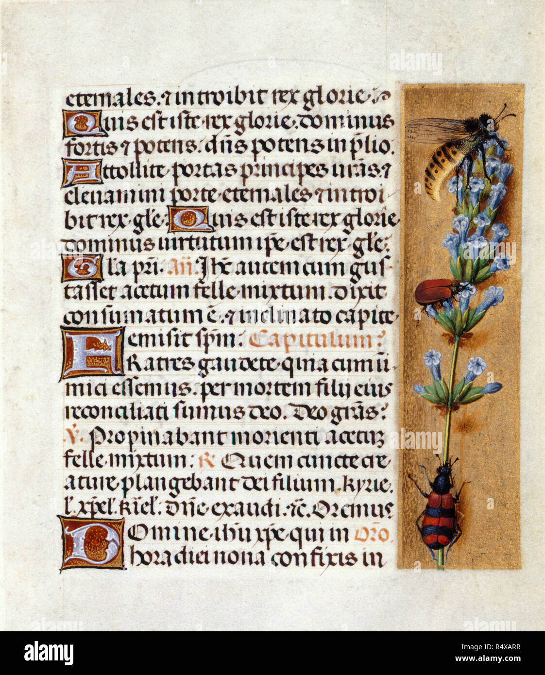 Lavanda e insetti, [intero folio] iniziali e testo. Una miniatura mostra lavanda e insetti. Immagine presa da Huth ore. Originariamente pubblicato/prodotto in [S. Paesi Bassi Bruges], Francia [probabilmente Valenciennes]; 1485-1490. Museo: British Library. Foto Stock