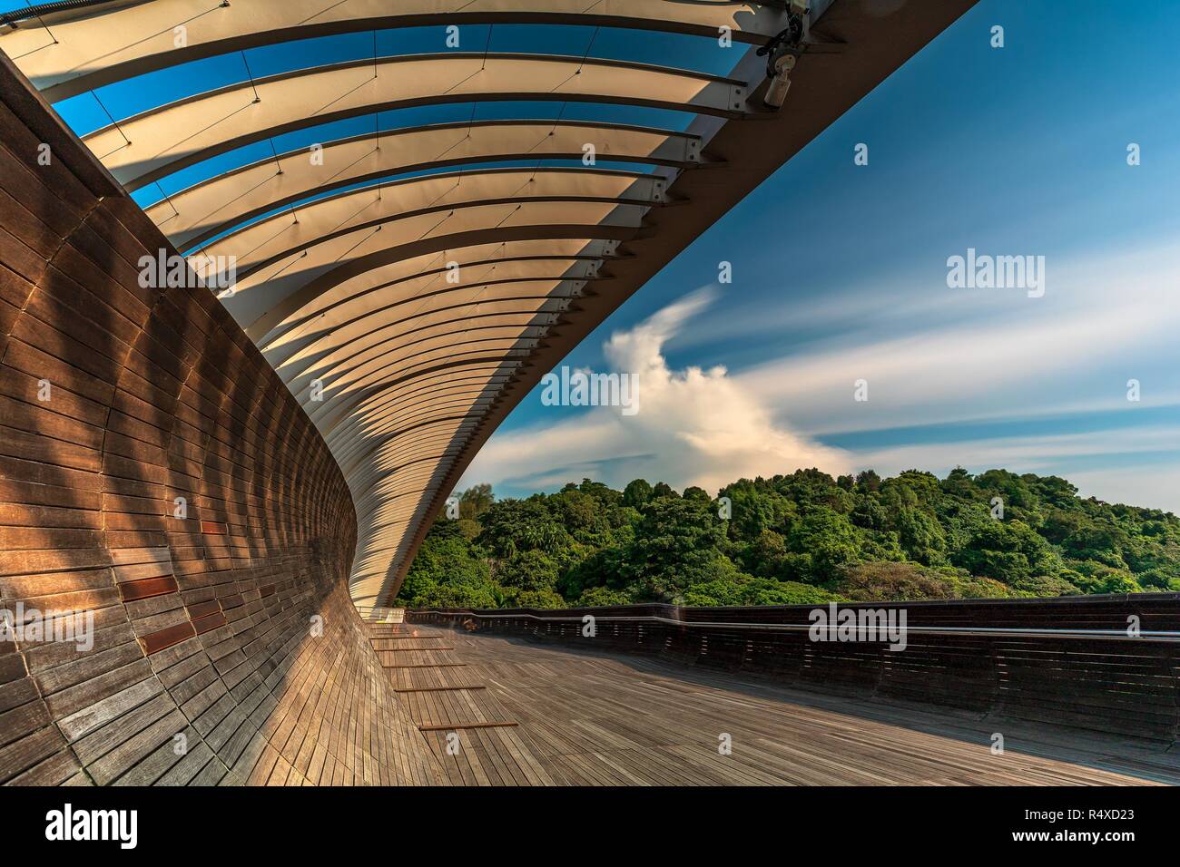 Onde di Henderson Bridge Foto Stock