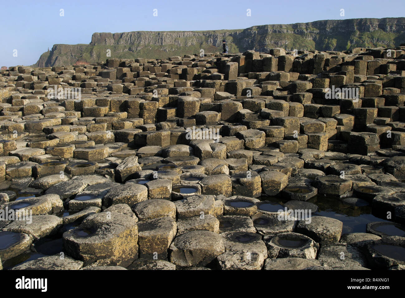 Questo è solo alcuni dei 40.000, incastro, colonne di basalto che compongono il Giants Causeway nella contea di Antrim, Irlanda del Nord. Questa magnifica struttura geologica è il risultato di un'enorme eruzione vulcanica molti e molti anni fa e che è un sito Patrimonio Mondiale dell'Unesco ed è visitato da centinaia di migliaia di turisti e visitatori ogni anno. Foto Stock