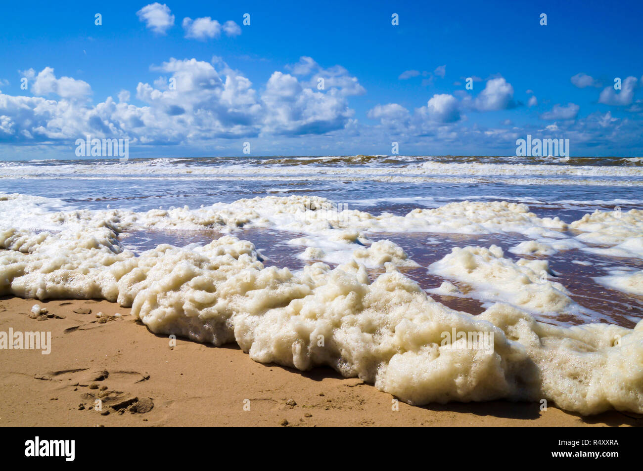 Bianco di schiuma di onde sulla spiaggia in Olanda Foto Stock