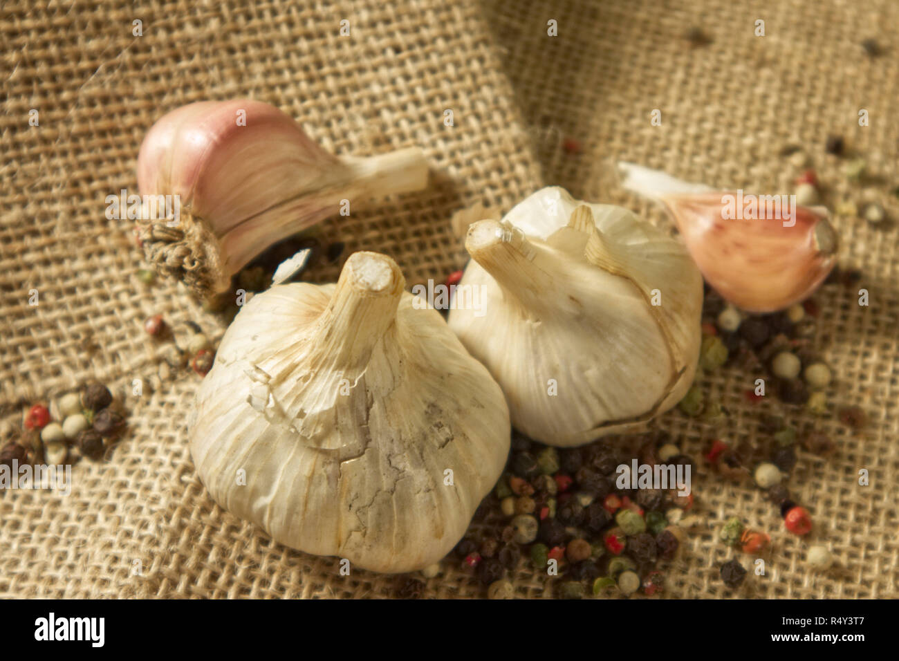 Pasta aglio su un letto di sacco con il rosso e il nero e il pepe bianco semi in background. Aglio pepe è un condimento in una varietà di alimenti. E le erbe sono g Foto Stock